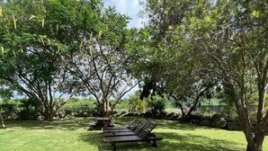 Un espace extérieur verdoyant avec un banc en bois et des arbres.