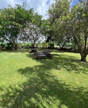 A grassy outdoor area with a wooden bench and trees. - Mullins Beach Villa - Luxury with Private Spa Pool (Battaleys Mews)
