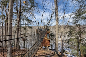A suspension bridge in a forested area with a wooden viewing platform. - The Time Machine Treehouse (Rockbridge)