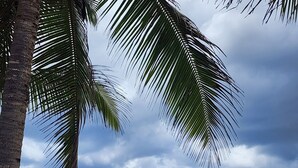 A beach with a boat tied to a palm tree, waves in the background, and a cloudy sky. - Playa Cañones / Margarita Beach House / Private / Heated Pool (Aguada)
