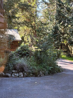 Property grounds - Creekside suite on Pender Island. Short walk to lake and ocean! Short term stay. (Pender Island)