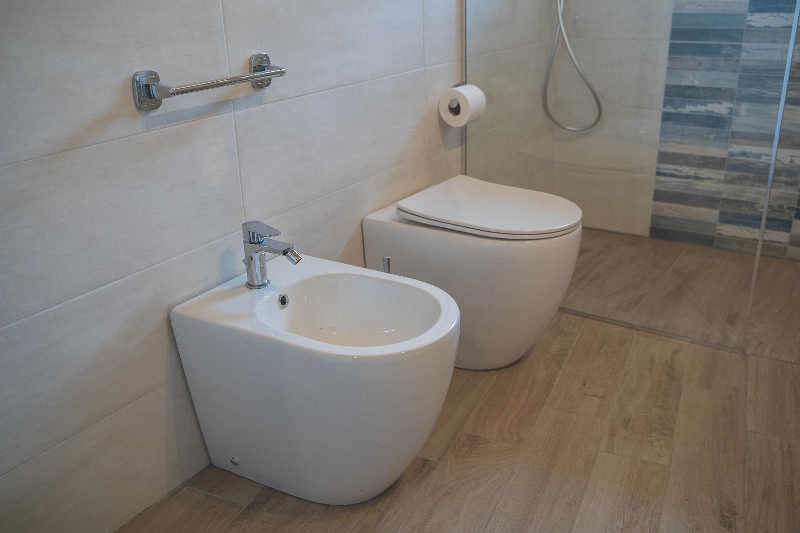 Shower, hair dryer, bidet, towels