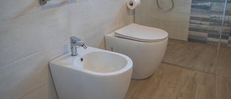 Shower, hair dryer, bidet, towels