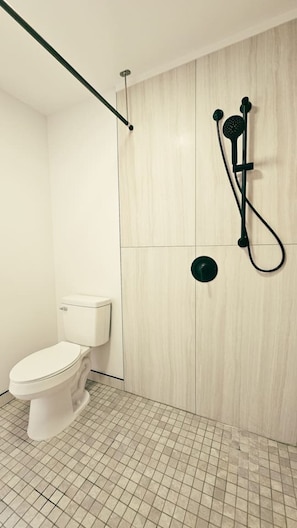 Secador de pelo, toallas, shampoo, papel higiénico