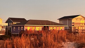 Une rangée de maisons de plage, avec un sentier sablonneux qui y mène, le tout entouré d’herbes hautes.