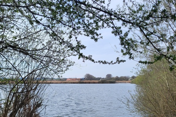 Naturschutzgebiet Reinheimer Teich