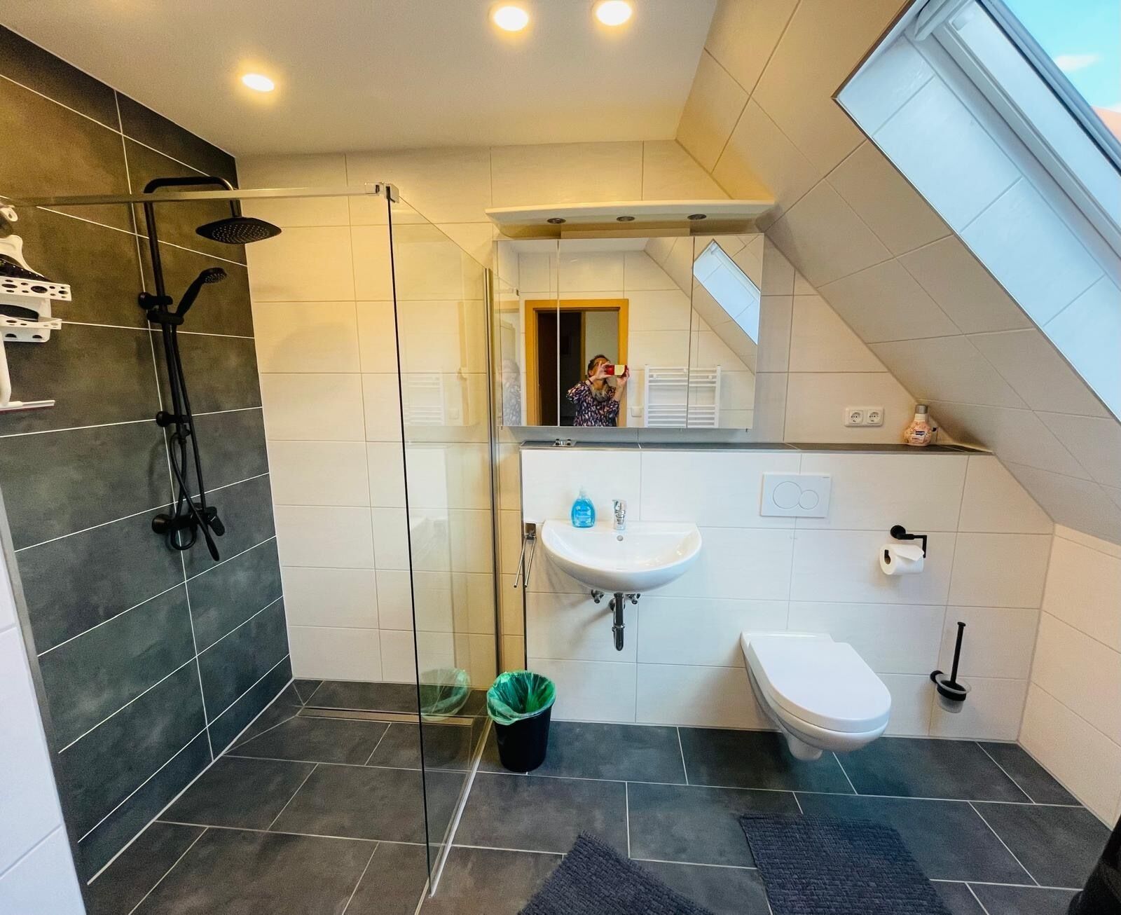 Haartrockner, Handtücher, Seife, Toilettenpapier