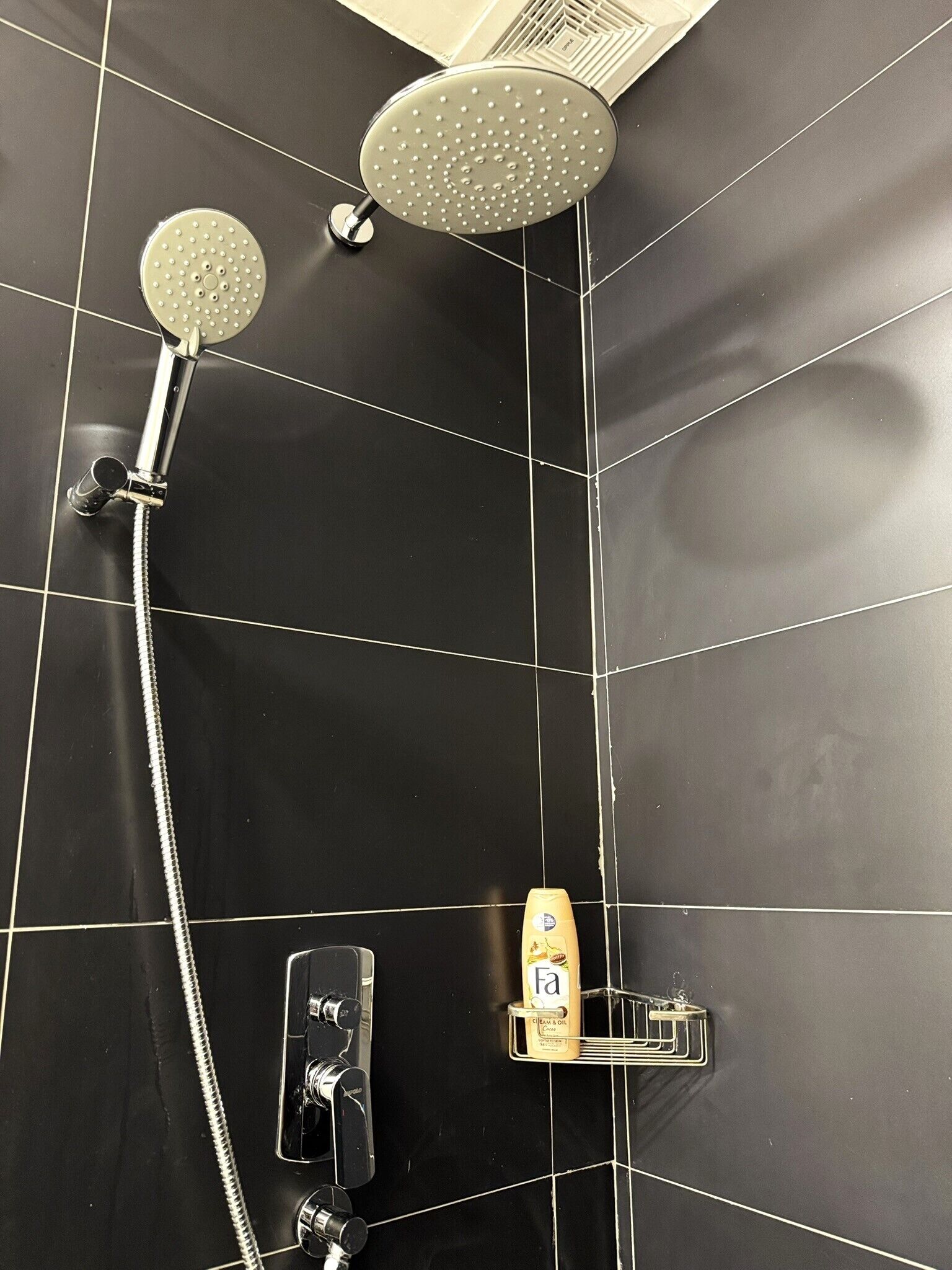 A shower area with a handheld showerhead, a fixed showerhead, and a soap dispenser on a wall-mounted holder.