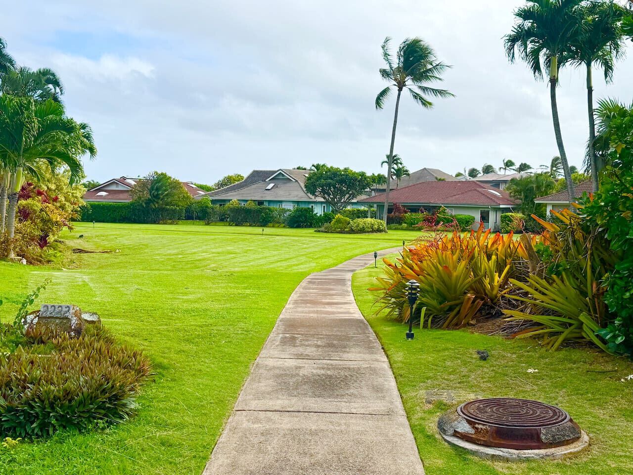 A pathway leading to a residential area with houses, palm trees, and well-maintained lawns.