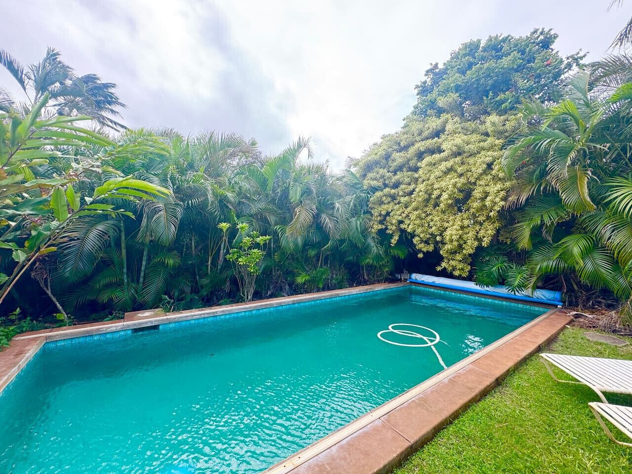 A rectangular swimming pool with a blue border, surrounded by lush greenery and trees.
