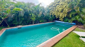 Una piscina rectangular amb vora blava, envoltada de vegetació i arbres frondosos.