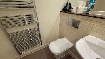 Shower, hair dryer