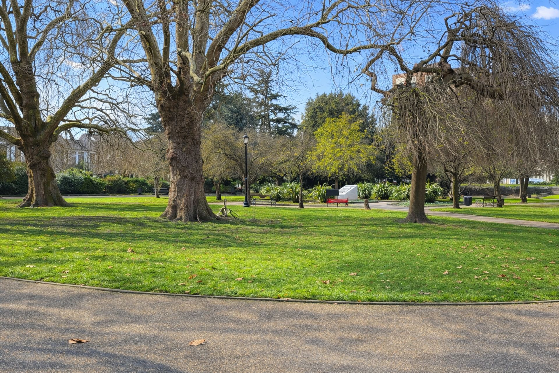 A park with a paved path, benches, and trees.