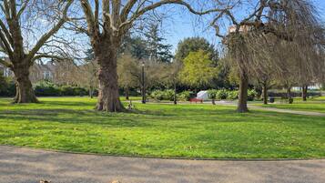 A park with a paved path, benches, and trees.