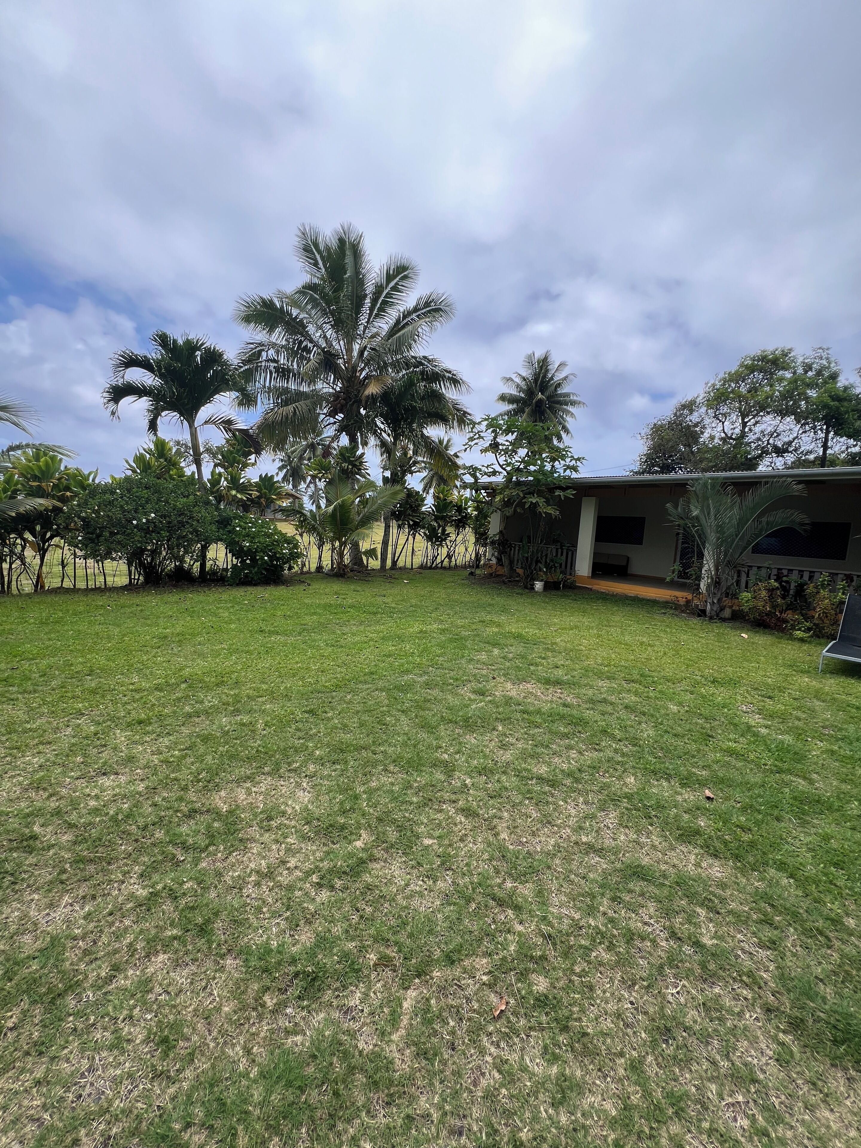 A grassy yard with palm trees and a building with a porch.