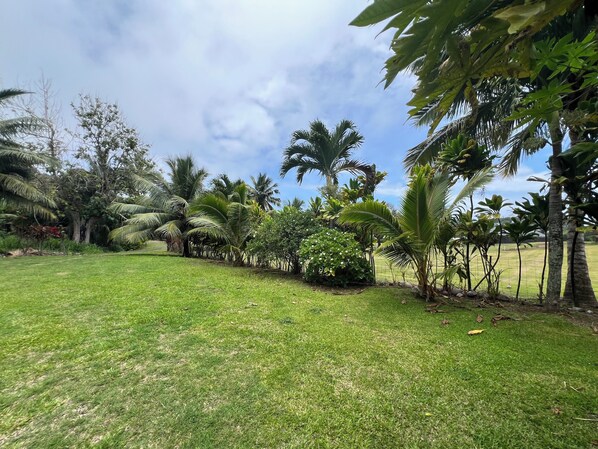 A well-maintained grassy area with palm trees and various tropical plants. - Muri Homeland Villa (Rarotonga)