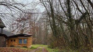 Eine Holzhütte, zu der ein Feldweg führt, umgeben von dichtem Wald und Vegetation.
