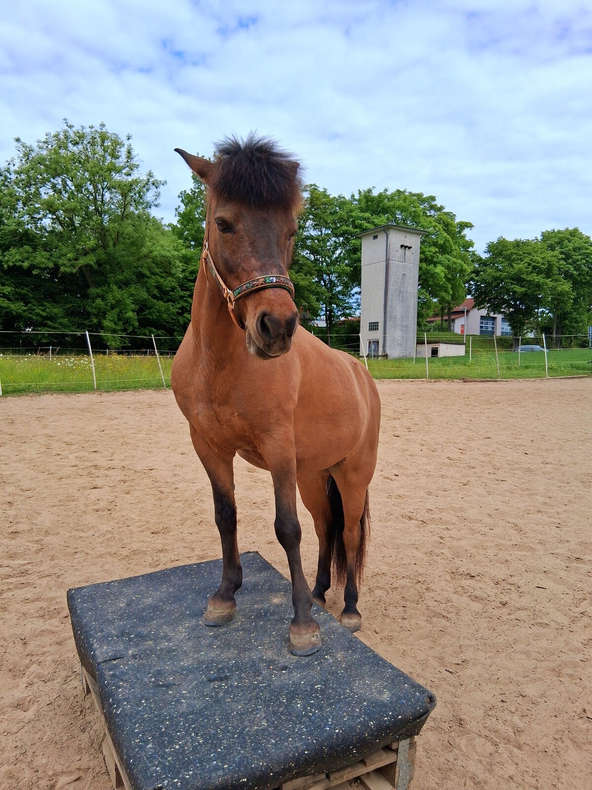 Bild für Gastgeberprofil