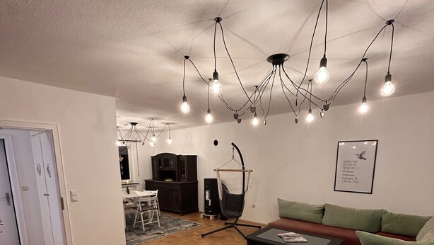 Un vaste espace de vie doté d’un plancher en bois, d’un canapé vert, d’une table basse et d’un luminaire suspendu.