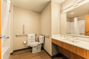 A bathroom with a white toilet, a sink, and a mirror.