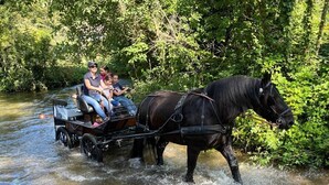 Eine Kutsche mit Passagieren auf einem Fluss.