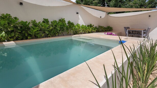 Une piscine rectangulaire bordée de carrelage beige, entourée de plantes vertes et d’un mur blanc.