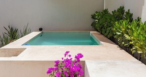 A rectangular swimming pool with a light-colored edge, surrounded by greenery and a small flower bed with purple flowers. - Casa Venado | Private Pool · Peaceful rest · Across from a Park · Parking (Mérida)