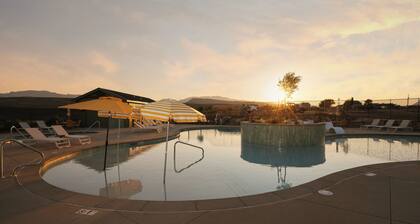 The Sego Lily @ HSRV