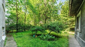 Un jardin luxuriant, avec une grande variété d’arbres et d’arbustes, un chemin en béton et un bâtiment doté d’une fenêtre sur le côté droit.