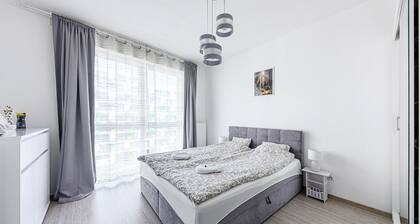 Elite Skyview Escape