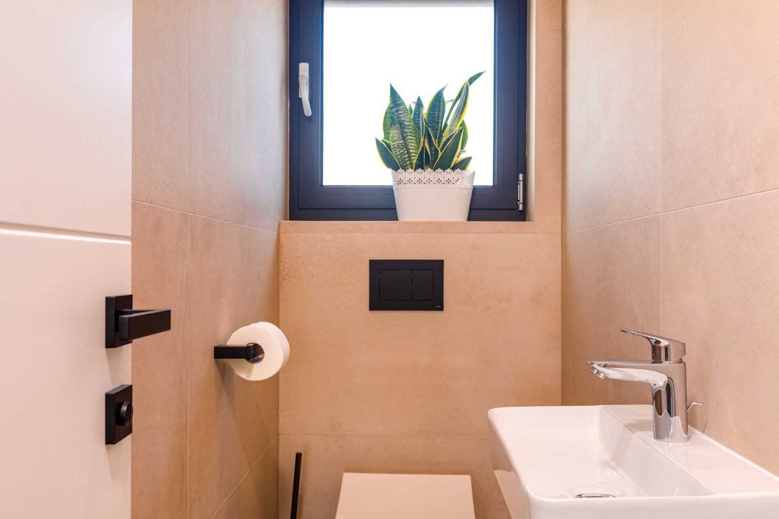 Kylpyhuoneessa on ikkuna, pesuallas, wc ja ruukussa oleva kasvi.