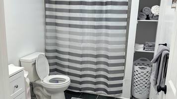 Hair dryer, towels, toilet paper