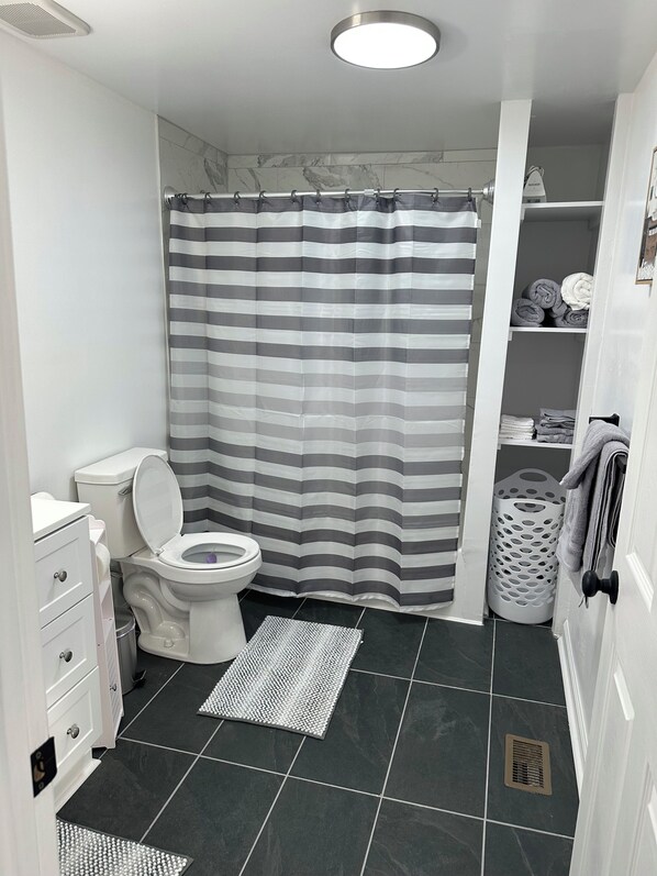 Hair dryer, towels, toilet paper