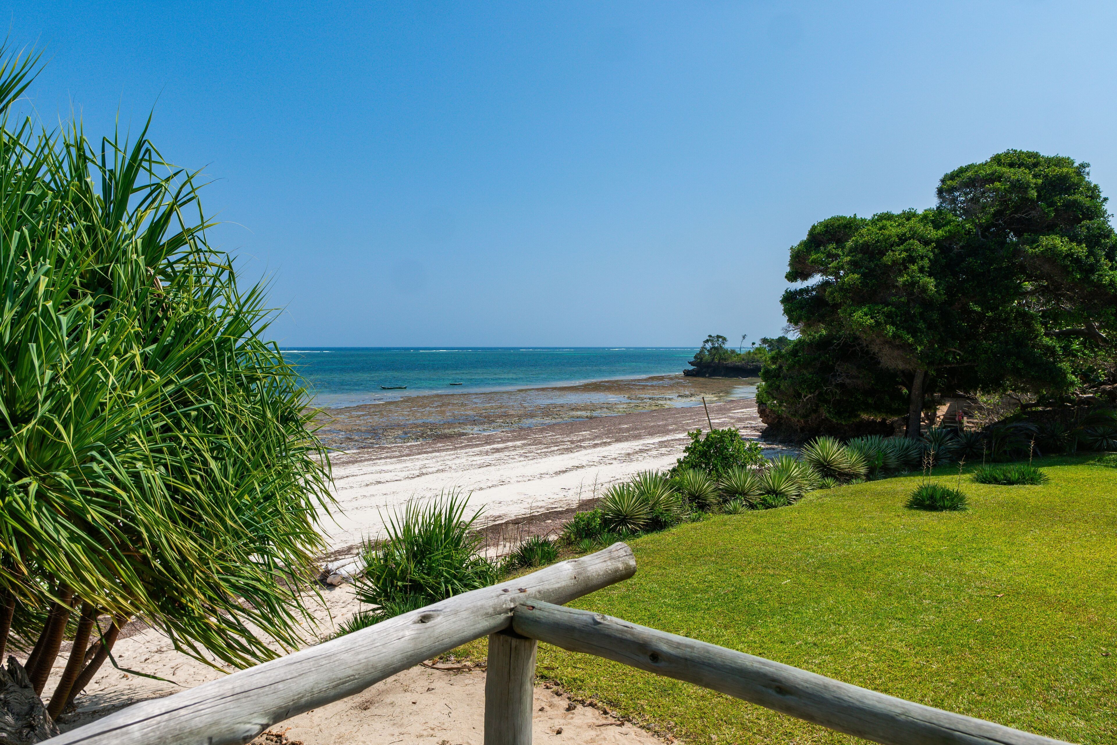 로맨틱 트리 하우스, 해변 전망 | 해변/바다 전망
