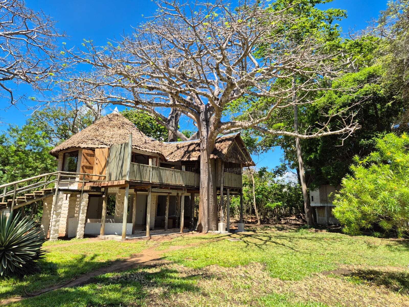 Une cabane rustique perchée dans un arbre, avec un toit de chaume, entourée d’une végétation luxuriante et sous un ciel bleu azur.