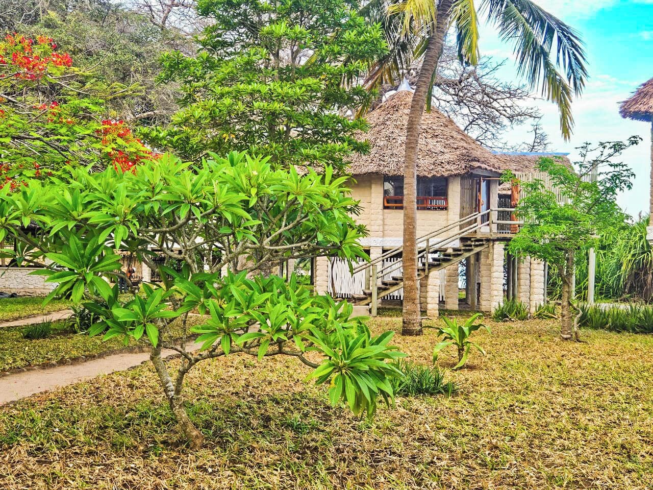 A traditional house with a thatched roof, a staircase leading to a porch, and lush greenery surrounding the property.