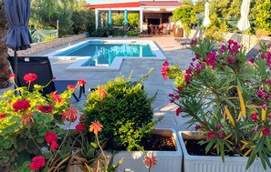 Pool - 1 bedroom lovely apartment in Rogoznica (Rogoznica)