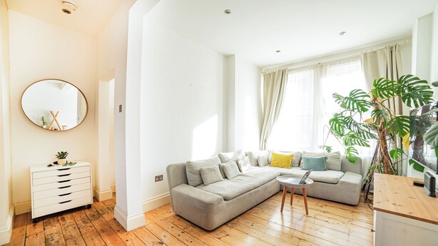 Una sala moderna con un sofá modular, una mesita y una planta grande.