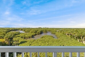 Property grounds - NL A302 Mud Flat Molly`s (Cedar Key)