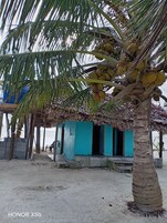 Cabaña básica, vistas al mar | Exterior