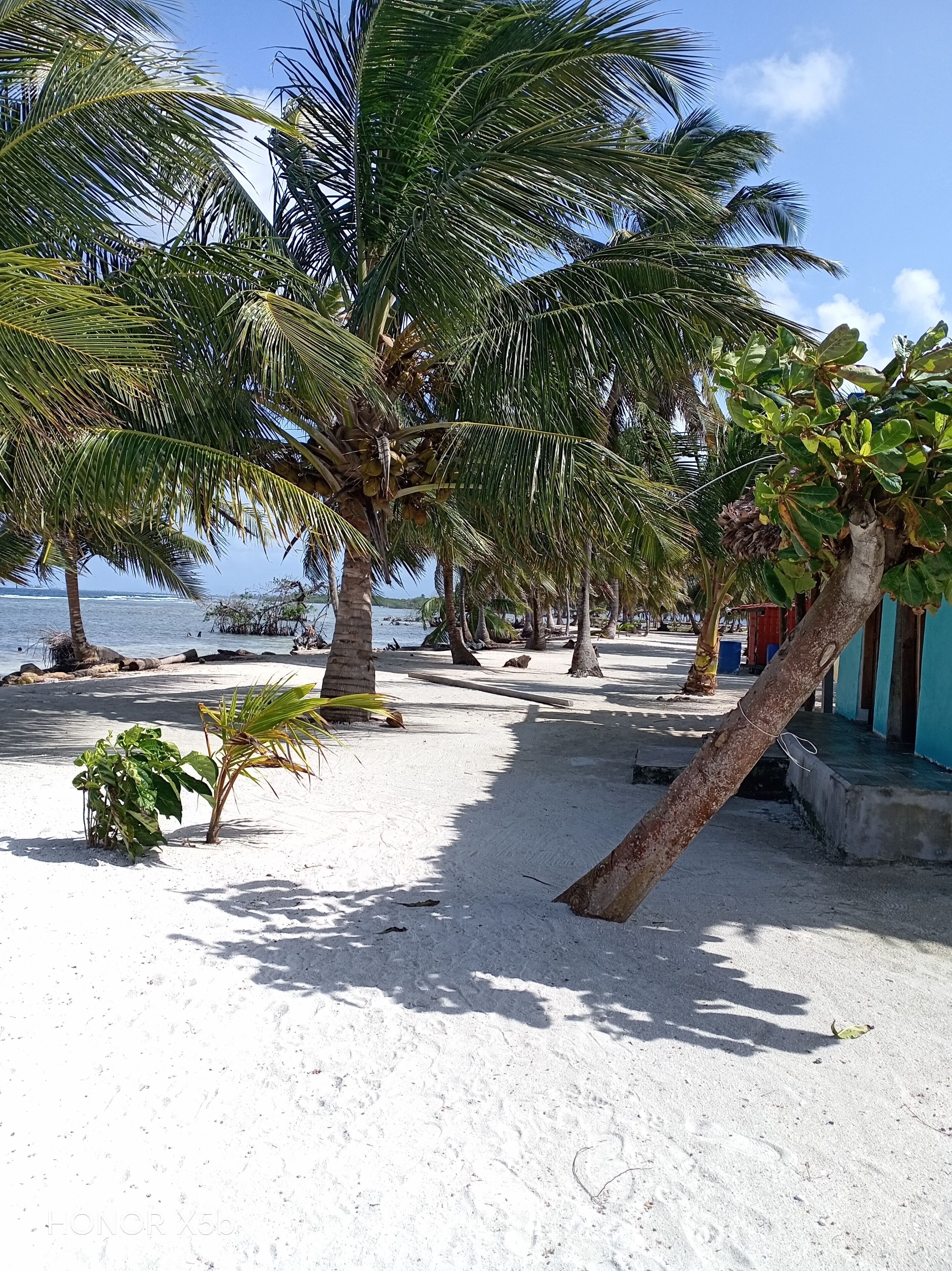 Basic Cabin, Ocean View | Beach