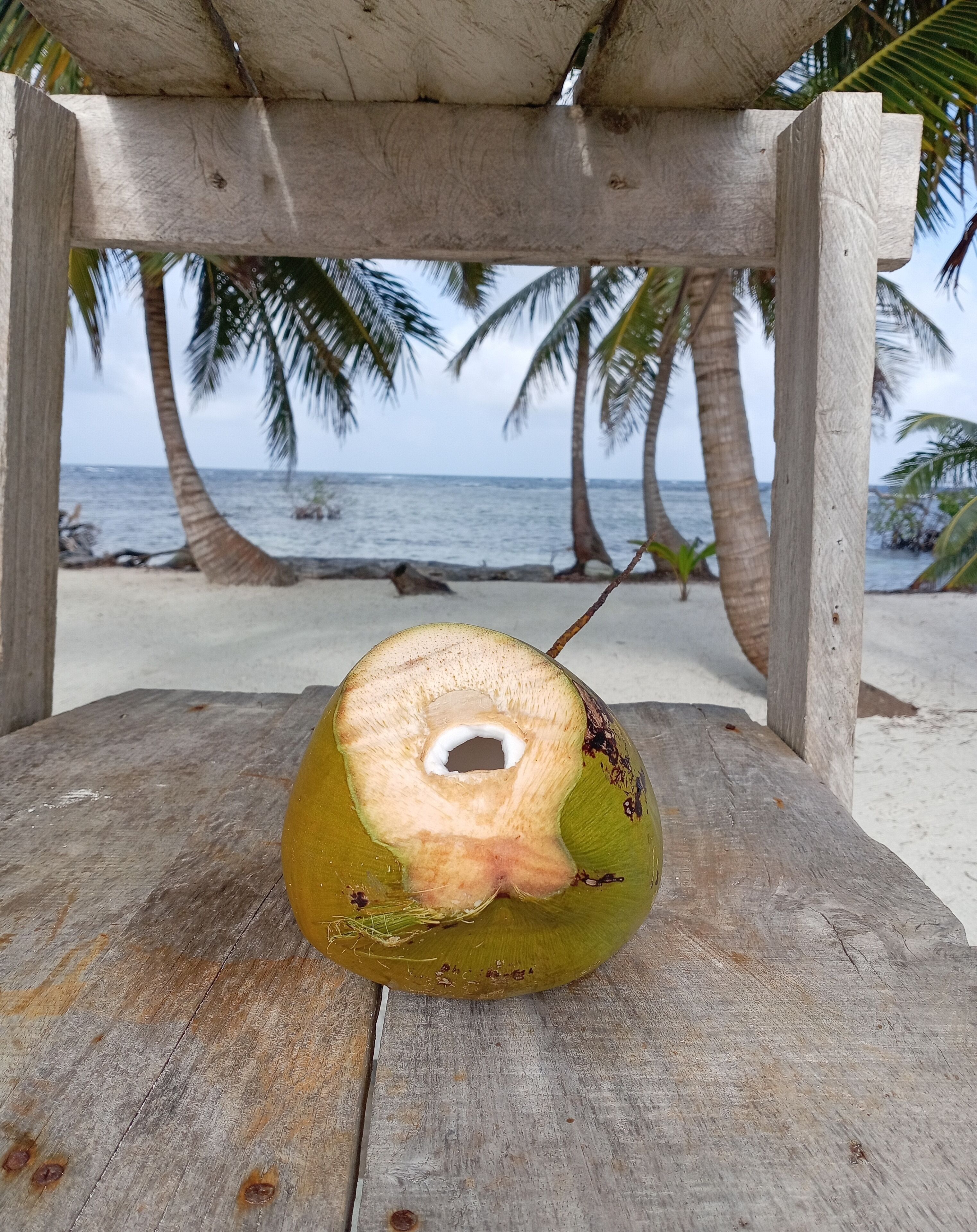 Basic-Ferienhütte, Meerblick | Strand | Am Strand, weißer Sandstrand, kostenloser Shuttle zum Strand