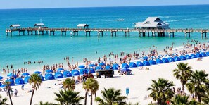 A beach with a pier, umbrellas, and palm trees. - Sea Glass Beach Compound | 10BR, Sleeps 28, Near Beach | By Golden Coast Rentals (Clearwater)