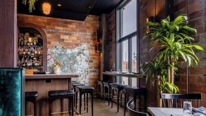 A bar area with stools, a brick wall, a large window, and a potted plant.
