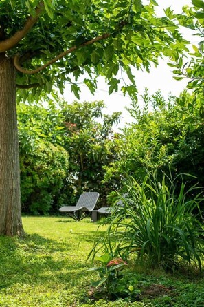 Property grounds - House Venitia T4 - AUSSONNE (AUSSONNE)