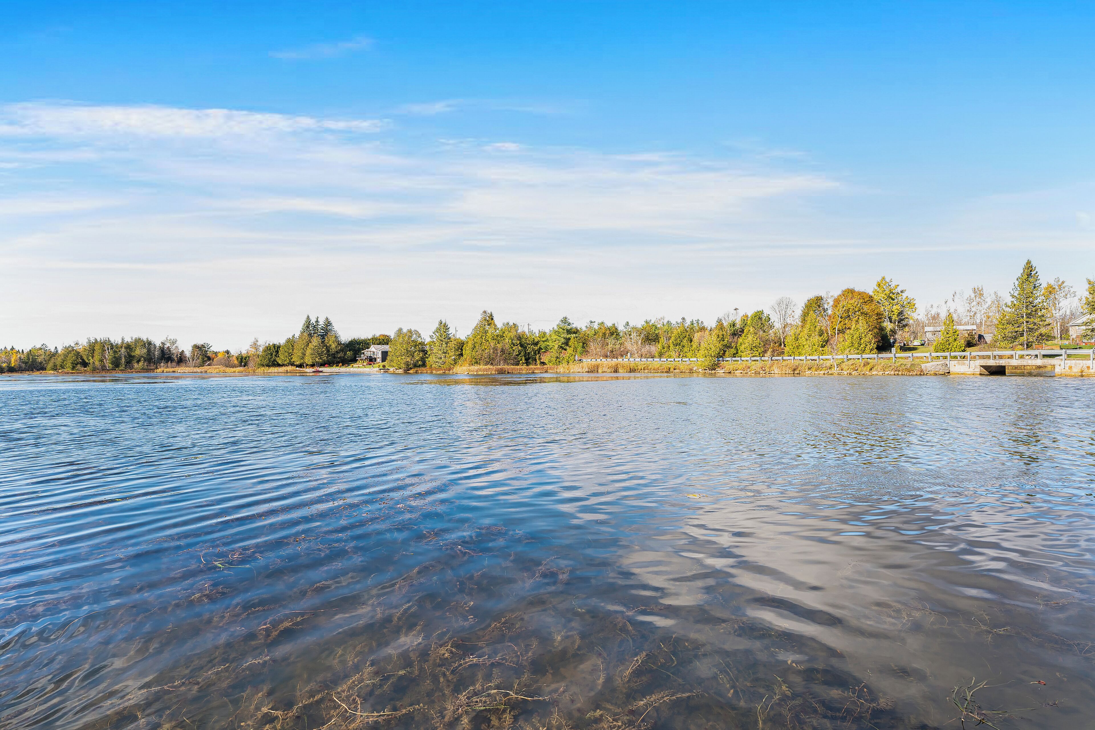 Un lago tranquillo con un molo di legno che si protende nell'acqua.