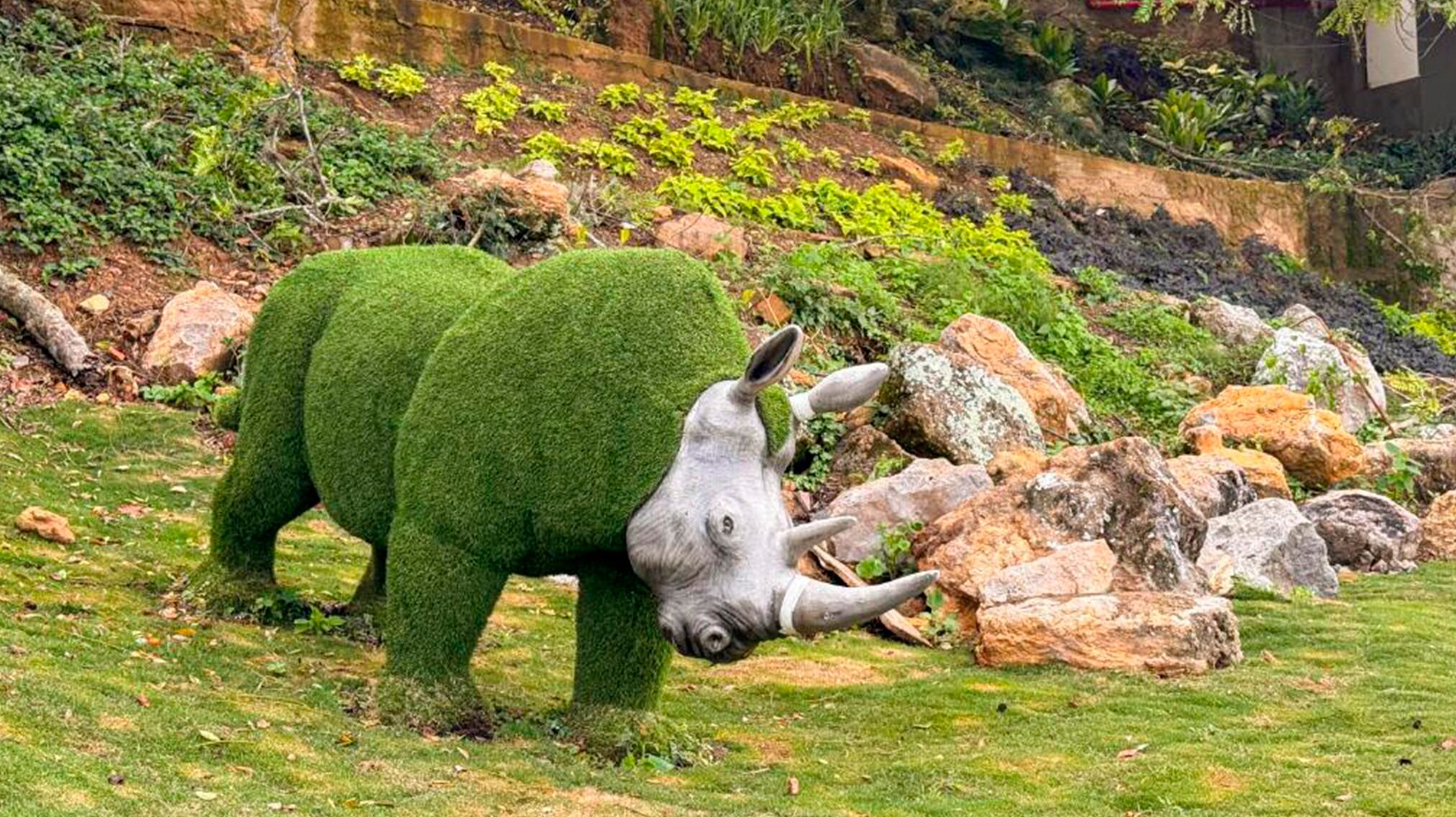 A rhino statue in a grassy enclosure with rocks and vegetation.
