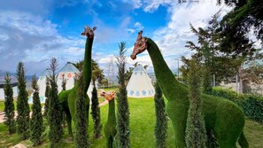 Property grounds - Hotel Pauche (Zapatoca)