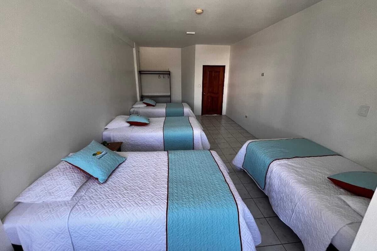 Basic-fællessovesal - mænd/kvinder - aircondition - byudsigt | Gratis Wi-Fi, sengetøj