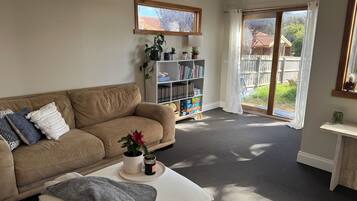 Smart TV, fireplace, books